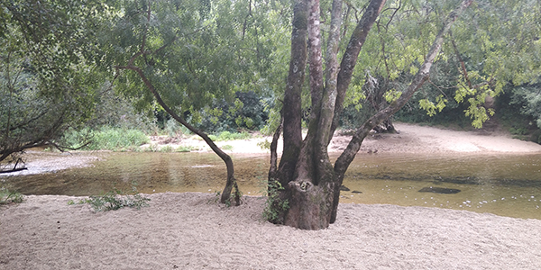 600x300-nosarredores