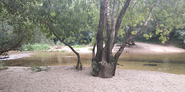 600x300-nosarredores